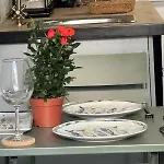 Buganvilla 3* טריפה