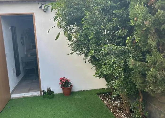 Bed and breakfast Buganvilla